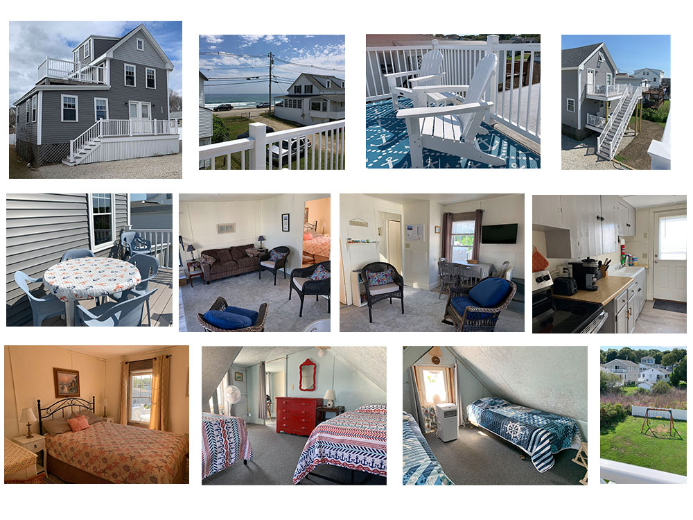 photos of the Beach Plum up